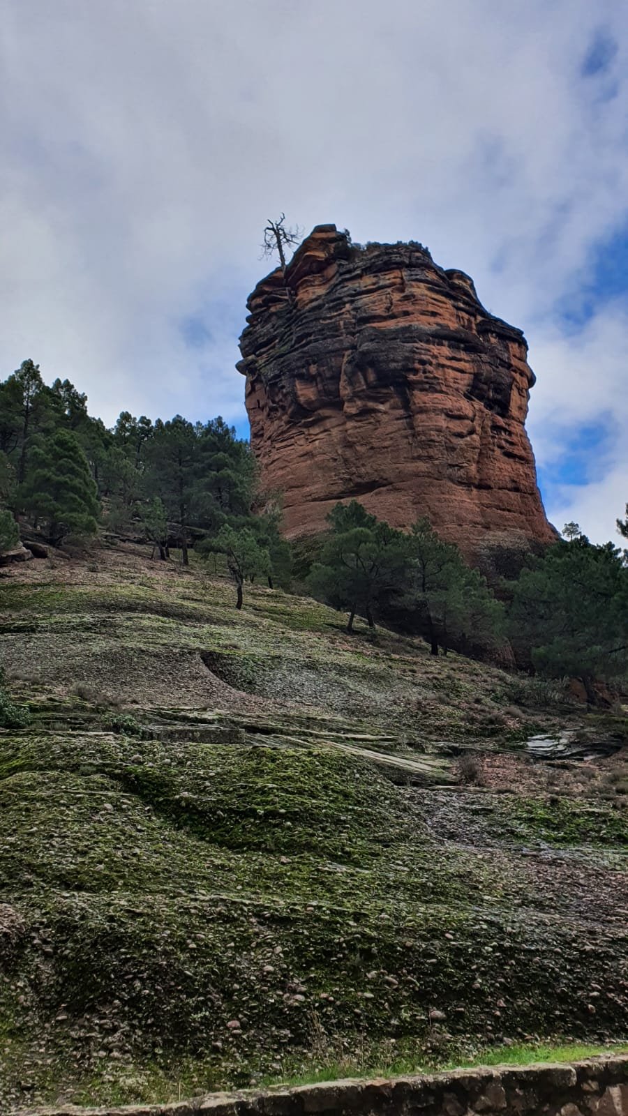Foto de la ruta